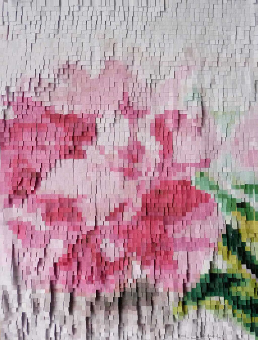 Pivoine